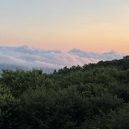 Southcrest Overlook By Vci Real Estate Services ビーチ・マウンテン エクステリア 写真